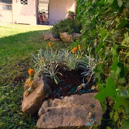 Harmony House Prestige Bed & Breakfast Pisa